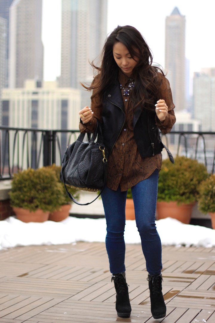 equipment blouse, python, alexander wang, madewell jeans, leather vest