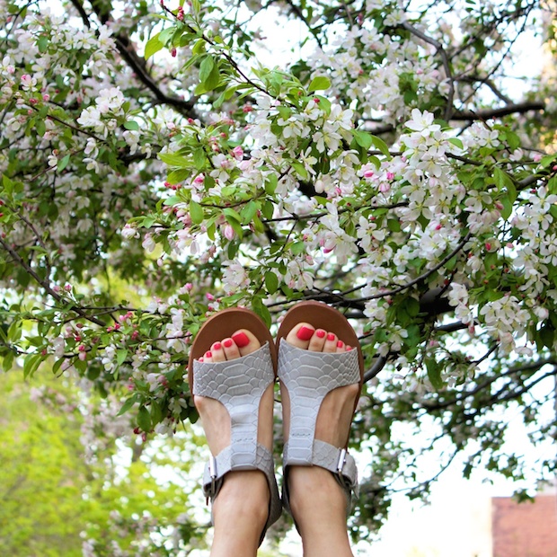 anthropologie, sandals, verge tstrap, snakeskin