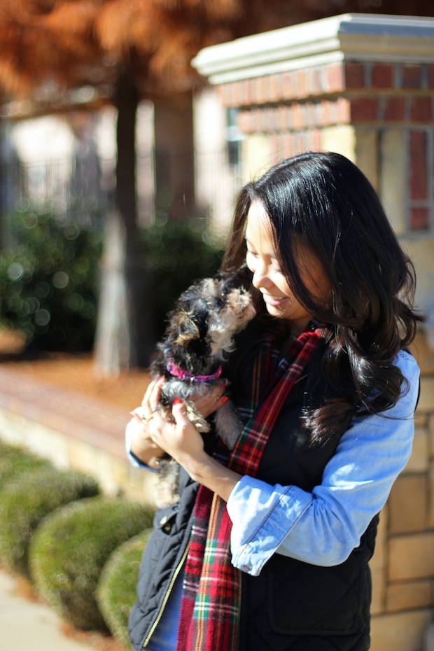 jcrew style, plaid scarf, jcrew quilted vest, chambray shirt, holiday style, casual fall style