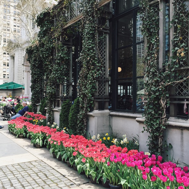 bryant park grill, flowers