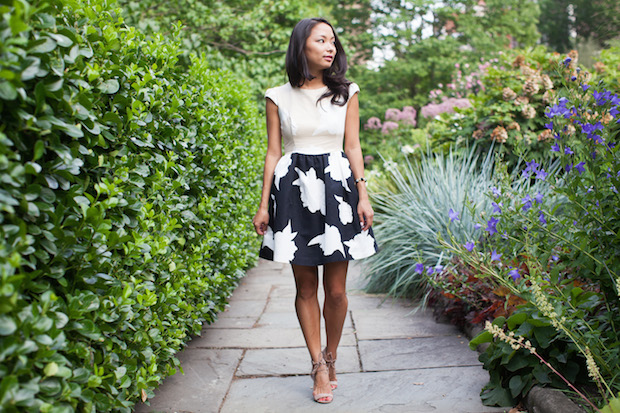 anthropologie dresses, troubadour, contrast study dress, christine petric, the view from 5 ft. 2, anthropologie petites, cocktail dress