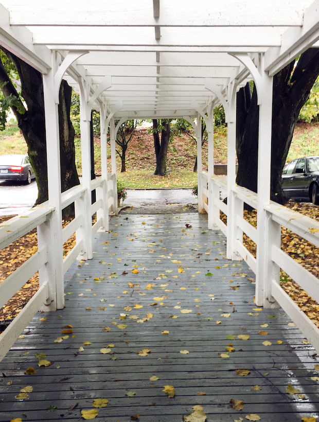 the boars head inn, charlottesville, exploring charlottesville, virginia, the view from 5 ft. 2