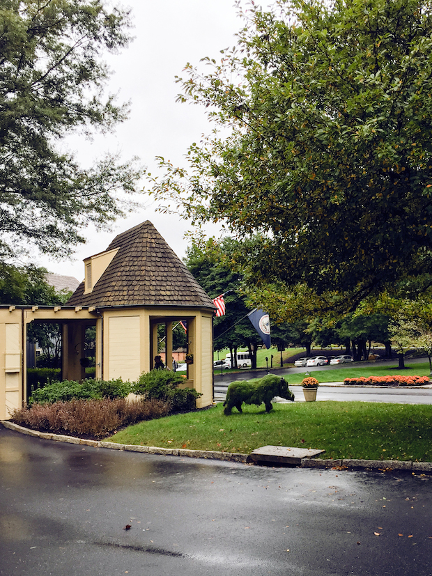 the boars head inn, charlottesville, exploring charlottesville, virginia, the view from 5 ft. 2