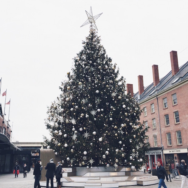 christmas tree, nyc, bucket list