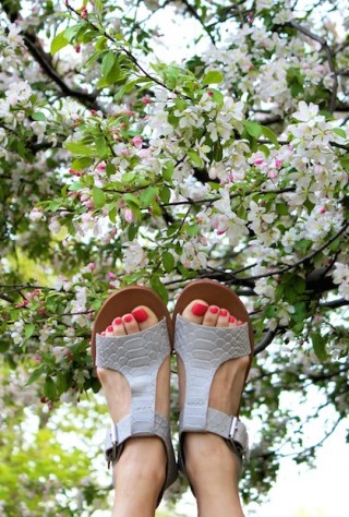 anthropologie, sandals, verge tstrap, snakeskin